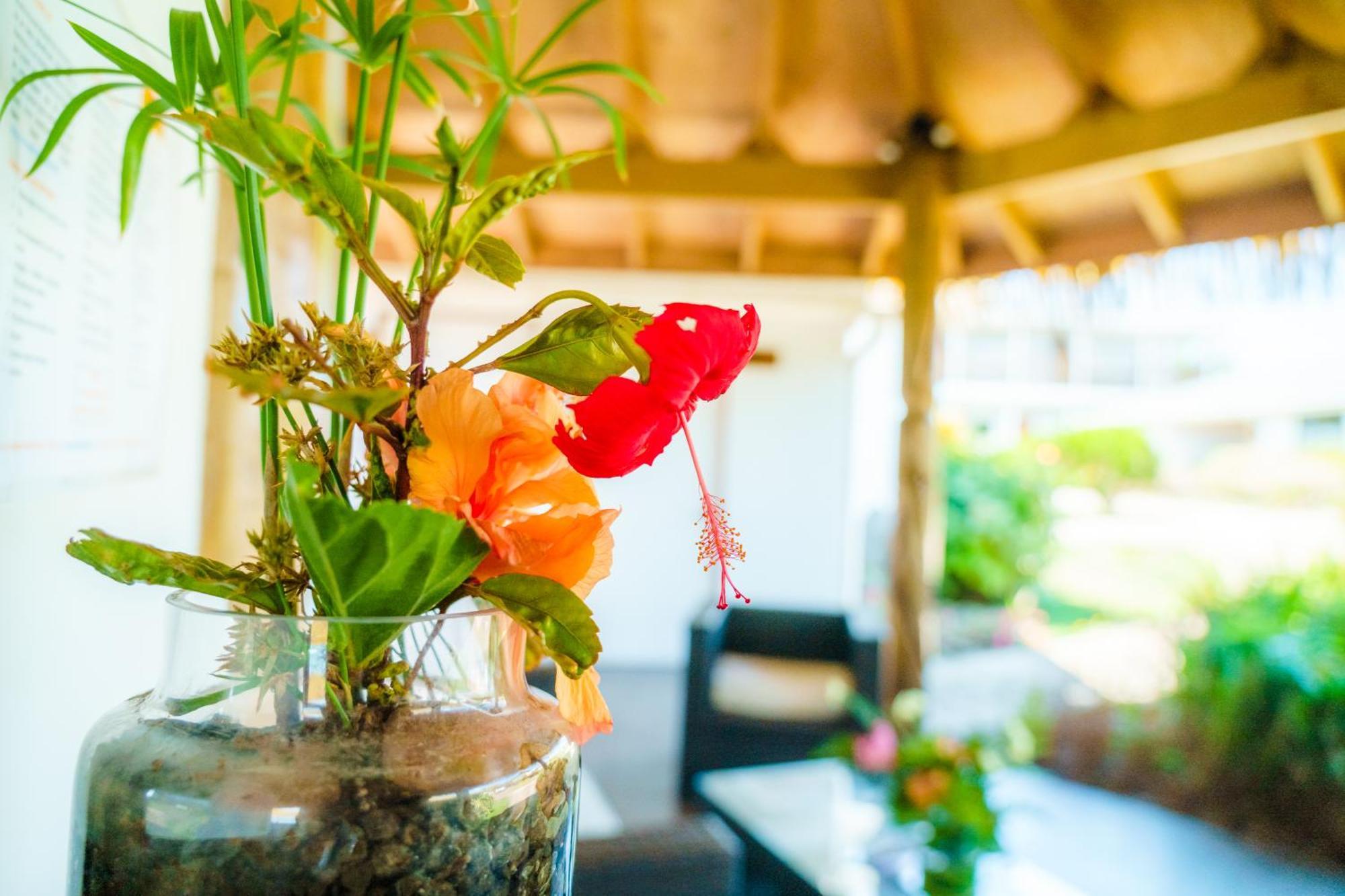 הנגה רואה Matariki Sunset Apart Hotel מראה חיצוני תמונה