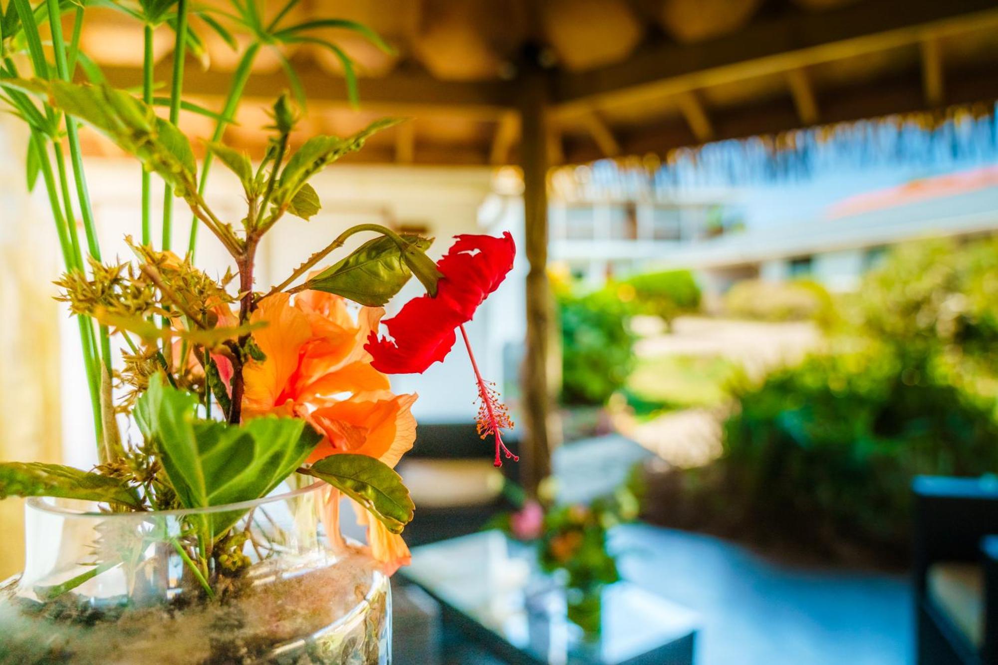 הנגה רואה Matariki Sunset Apart Hotel מראה חיצוני תמונה